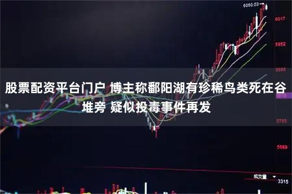 股票配资平台门户 博主称鄱阳湖有珍稀鸟类死在谷堆旁 疑似投毒事件再发